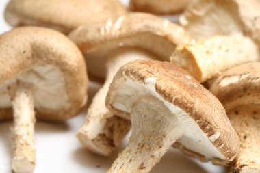 Shiitake mushrooms clipart