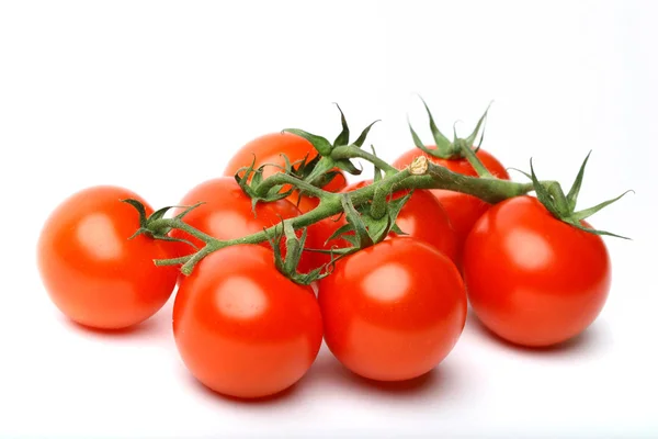 Izole domates — Stok fotoğraf