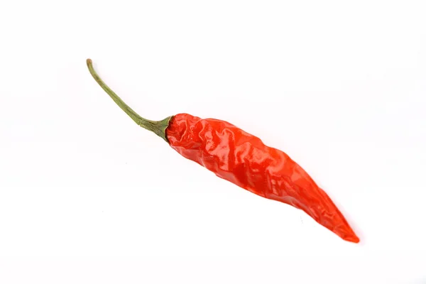Torkad chili peppar — Stockfoto