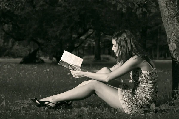 Mulher bonita ler livro sob a árvore — Fotografia de Stock