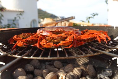 Crab on charcoal grill clipart