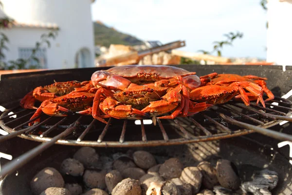 Crabe sur barbecue au charbon de bois — Photo