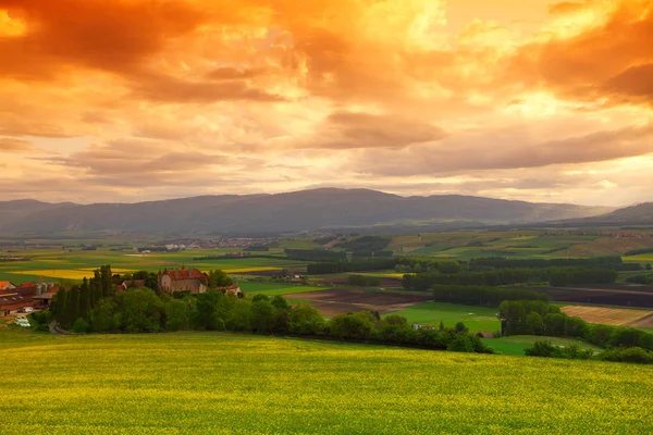 Prato verde sotto il cielo del tramonto con nuvole — Foto Stock