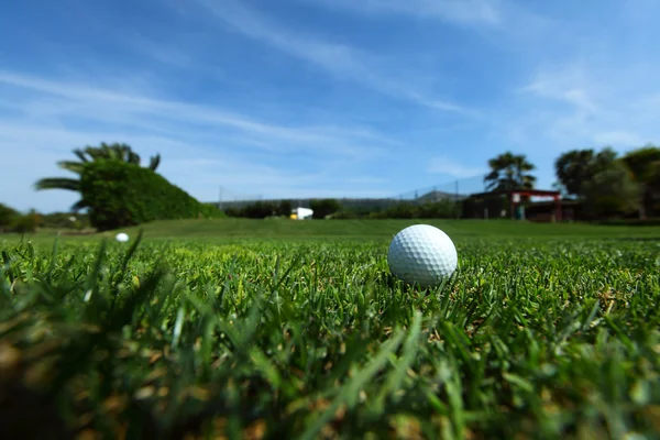 Golf-ball på kurs — Stockfoto
