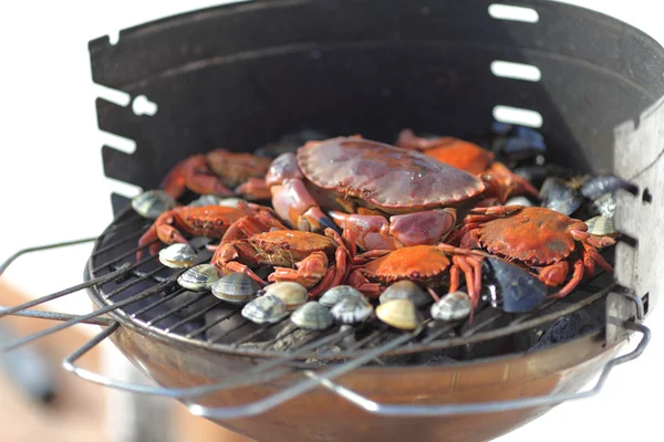 Crevettes crabes sur le gril de charbon de bois — Photo