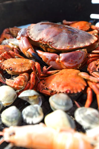 Crevettes crabes sur le gril de charbon de bois — Photo