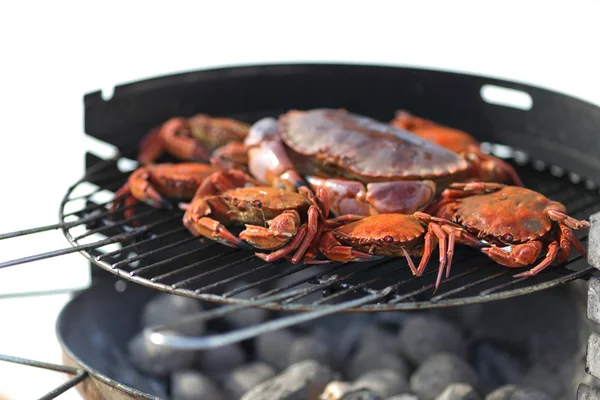 Crab on charcoal grill — Stock Photo, Image