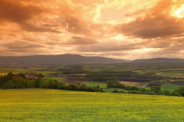 雲と日没の空の下で緑の牧草地 — ストック写真