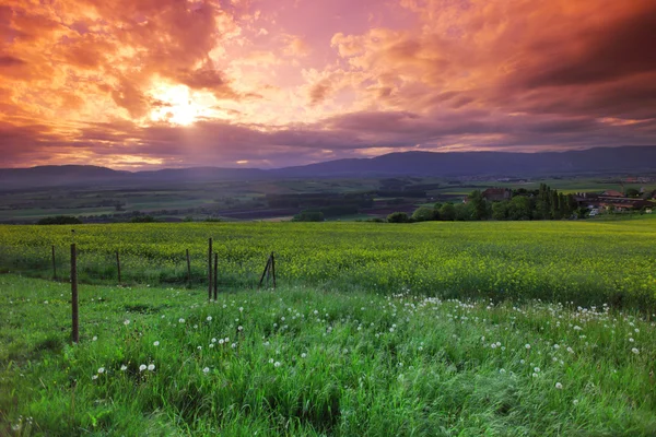 Günbatımı gökyüzünün altında bulutlu yeşil çayır — Stok fotoğraf