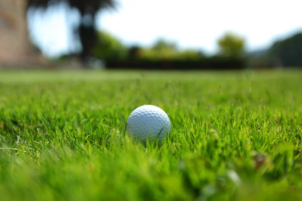 Golfball auf Kurs — Stockfoto