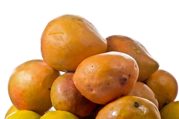Pile of Mangos — Stock Photo, Image