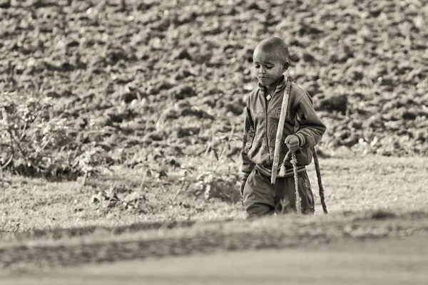 stock image A young shepherd comes back from the fields