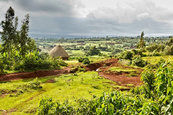 Etiopská krajina venkova — Stock fotografie