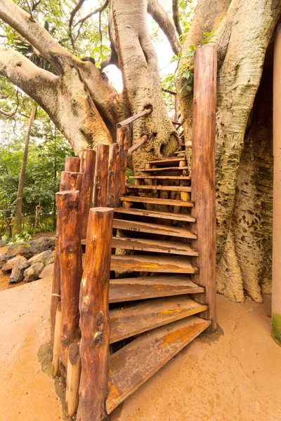 Treppe zum Baumhaus — Stockfoto