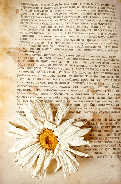 마른 꽃과 오래 된 책 — 스톡 사진