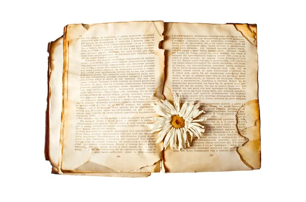 Libro viejo con flor seca sobre fondo blanco aislado — Foto de Stock