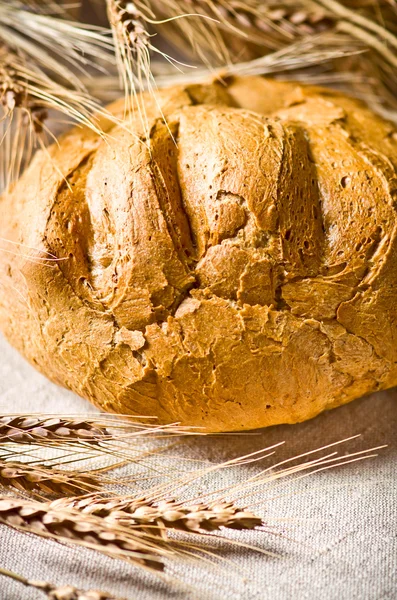 Orelhas de trigo e pão — Fotografia de Stock