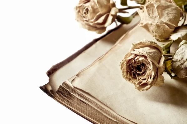 Roses sèches et vieux livre sur fond blanc isolé — Photo