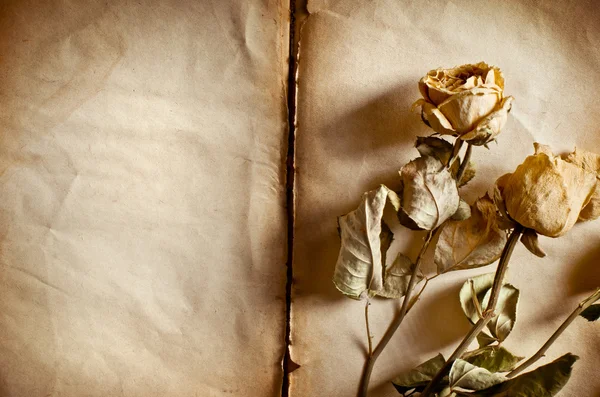 Bouquet of roses and old book — Stock Photo, Image