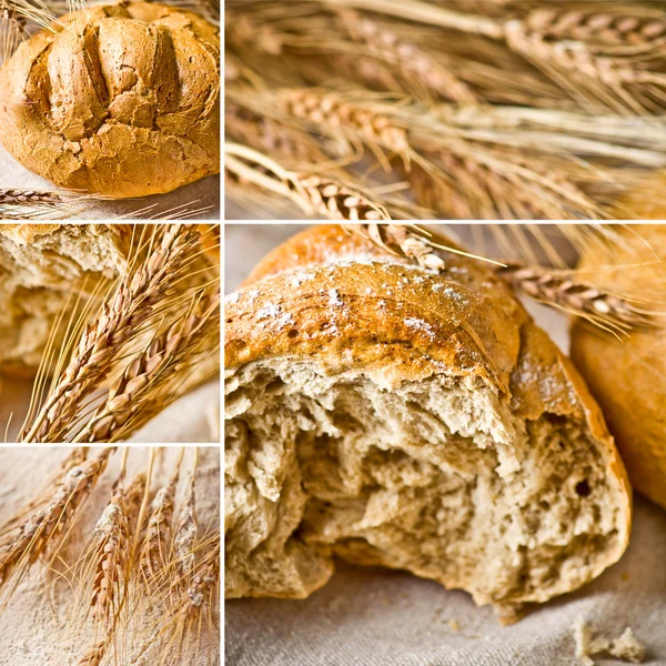 Pane e spighe di grano collage — Foto Stock