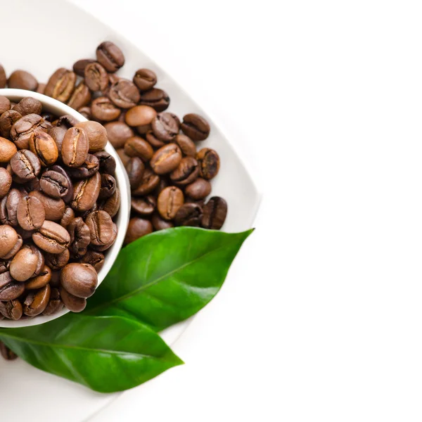 Tasse Kaffeebohnen auf isoliertem weißen Hintergrund — Stockfoto
