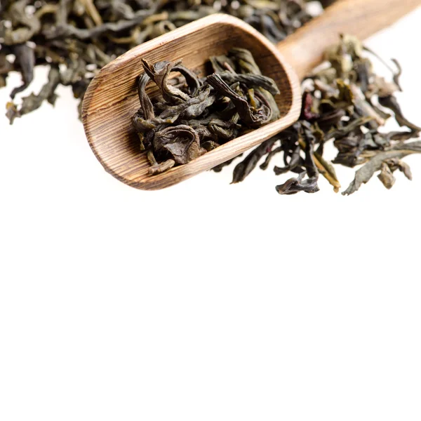 Hojas de té verde aisladas sobre fondo blanco — Foto de Stock