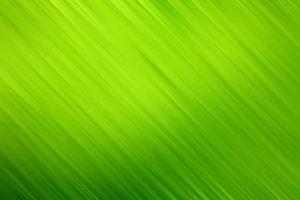 Texture de la feuille vert foncé — Photo