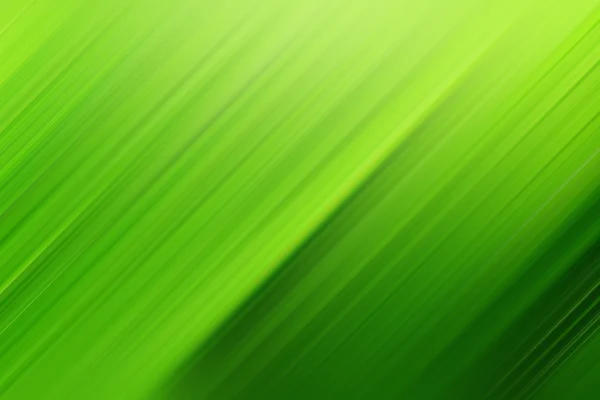 Textura da folha verde escura — Fotografia de Stock