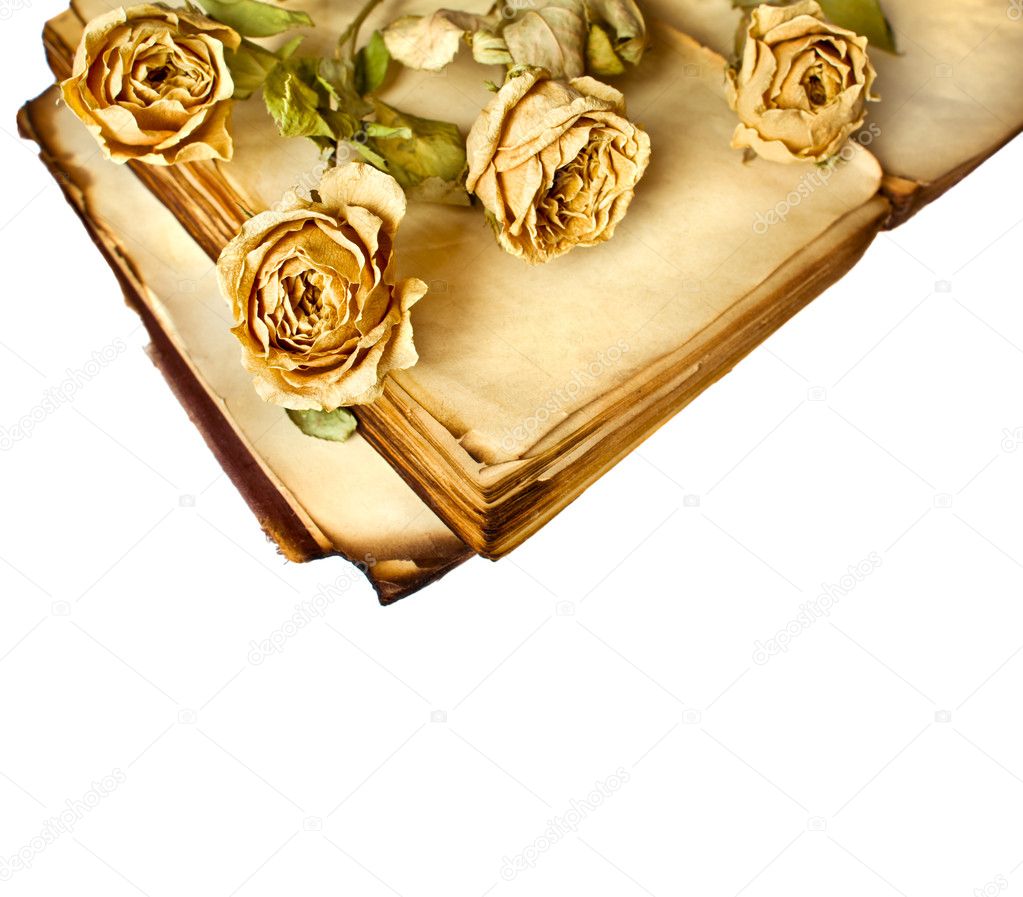 Dry roses and old book on isolated white background