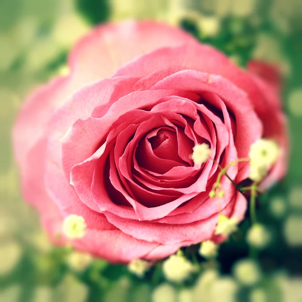 Розовая роза в букете — стоковое фото