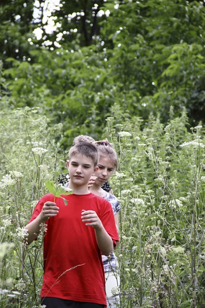 Дети шагают по дорожке в высокой траве — стоковое фото