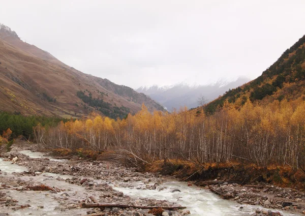 stock image Sullen autumn mountain landscape