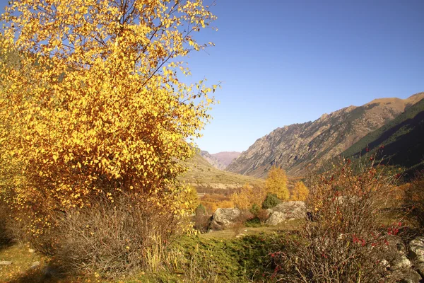 Outono paisagem montanhosa — Fotografia de Stock