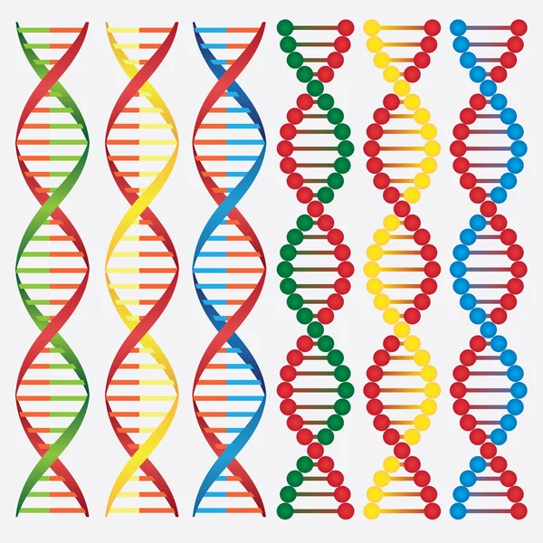 DNA molekülleri. — Stok Vektör