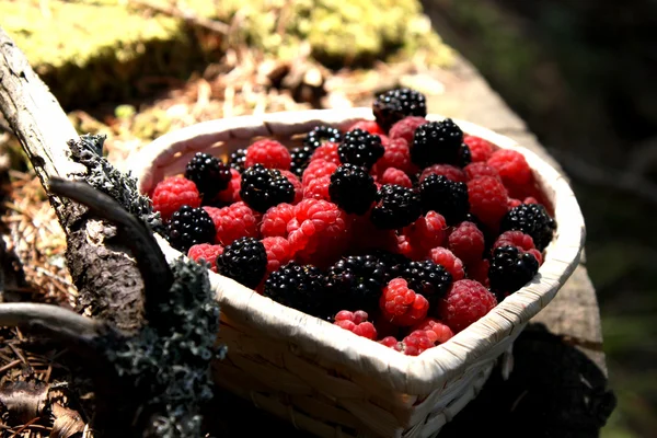 Корзина с ягодами из леса — стоковое фото