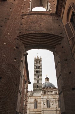 Siena Duomo