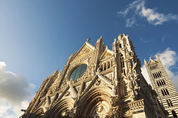 Catedral de Siena — Foto de Stock