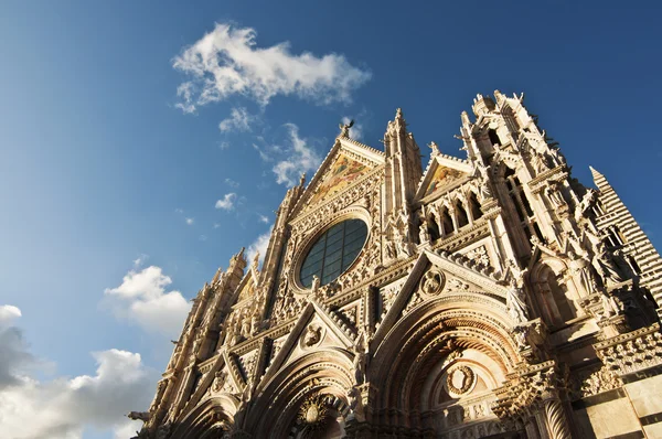 เซียน่า Duomo — ภาพถ่ายสต็อก