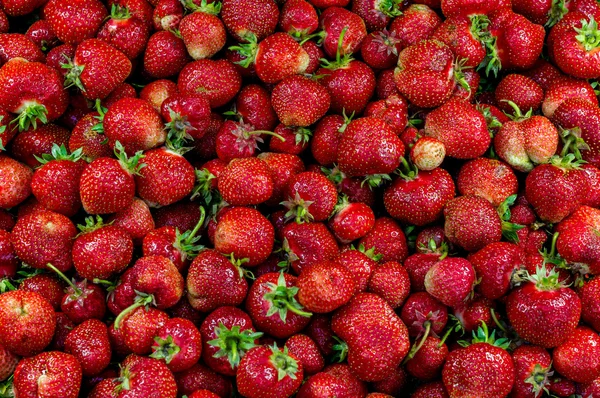 stock image Strawberries