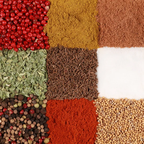 Colorful Spices — Zdjęcie stockowe