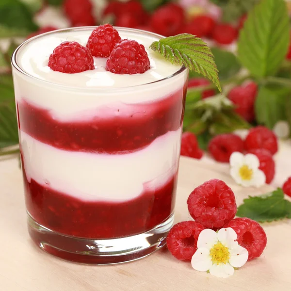 Yoghurt met frambozen — Stockfoto