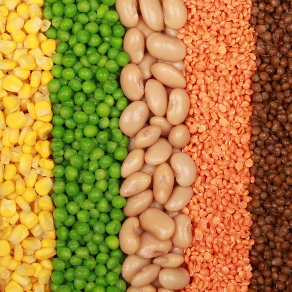 豆、レンズ豆、エンドウ豆、トウモロコシ — ストック写真