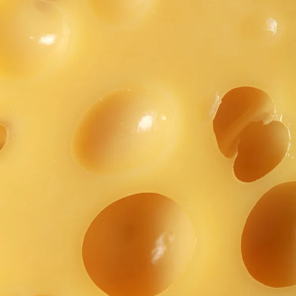 구멍을 가진 치즈 — 스톡 사진
