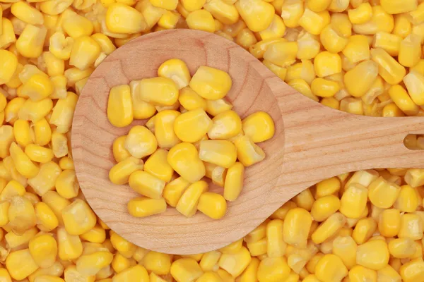 Corn on a wooden spoon — Stock Photo, Image