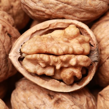 Walnuts clipart