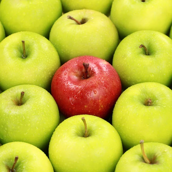 stock image Lonesome red apple