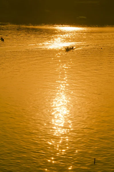 Золота річка Ліцензійні Стокові Зображення