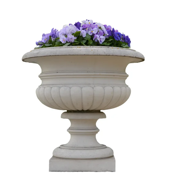 Pote de alvenaria com flores de viola pansy isolado — Fotografia de Stock
