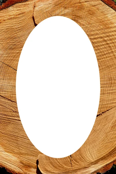 Weiß oval Fotorahmen Textur der geschnittenen Eiche Hintergrund — Stockfoto