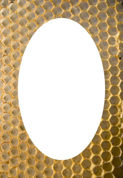 Isolé fond ovale blanc en nid d'abeille — Photo